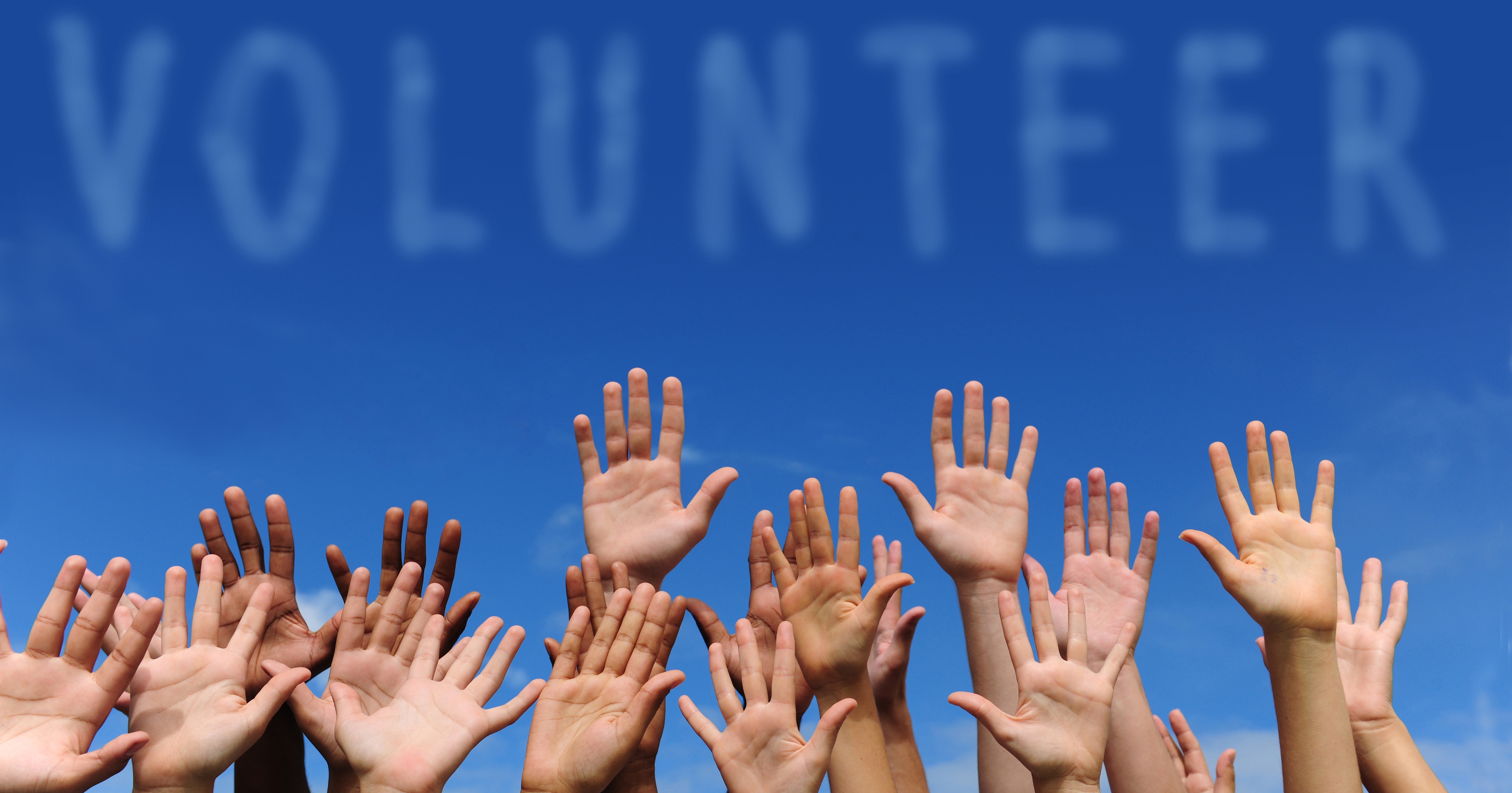 Grow Your Professional Network by Volunteering with ISTSS