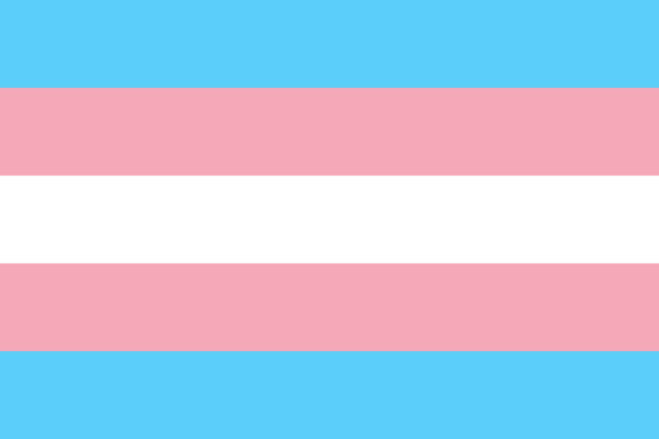 Research Methods: Increasing Visibility of Transgender and Gender Diverse Individuals in Trauma and PTSD Research